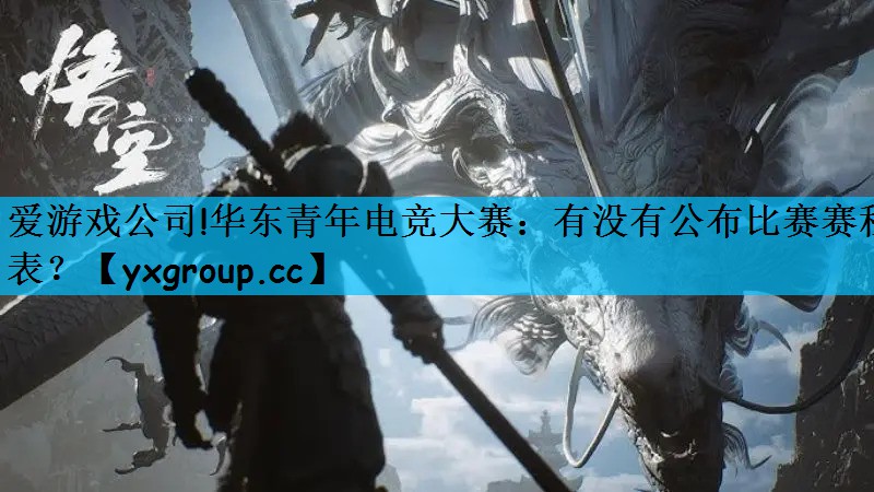爱游戏公司!华东青年电竞大赛：有没有公布比赛赛程表？