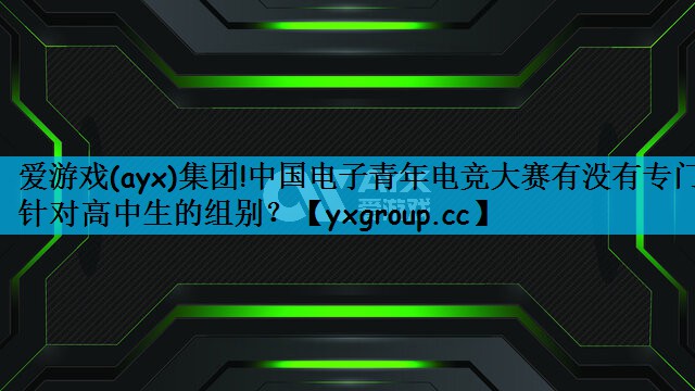 爱游戏(ayx)集团!中国电子青年电竞大赛有没有专门针对高中生的组别？
