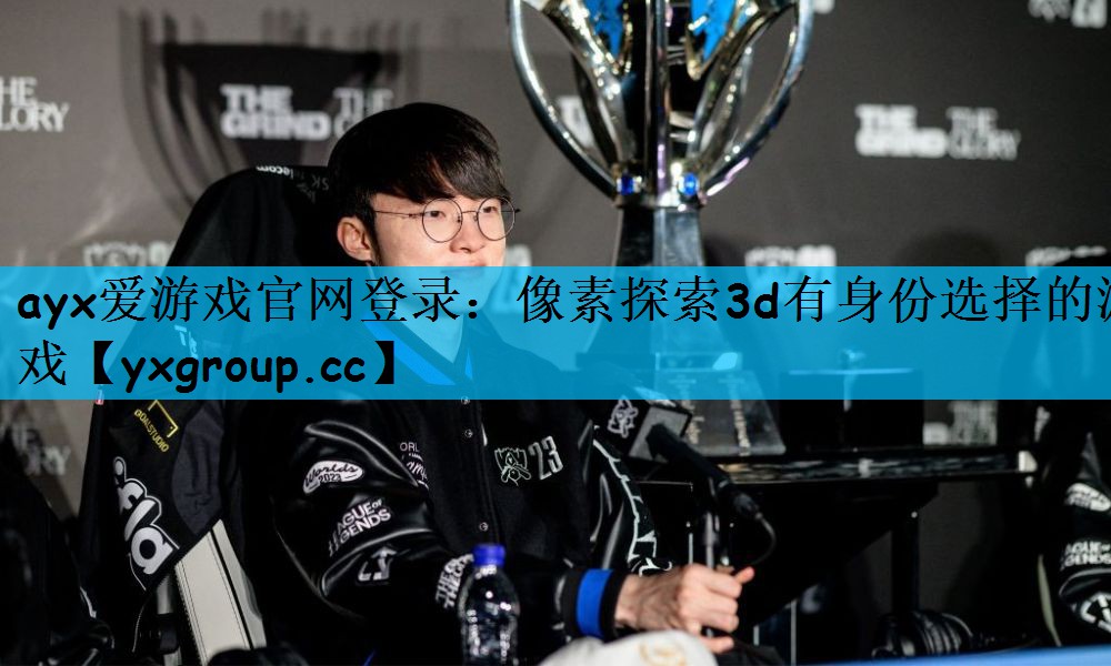 像素探索3d有身份选择的游戏