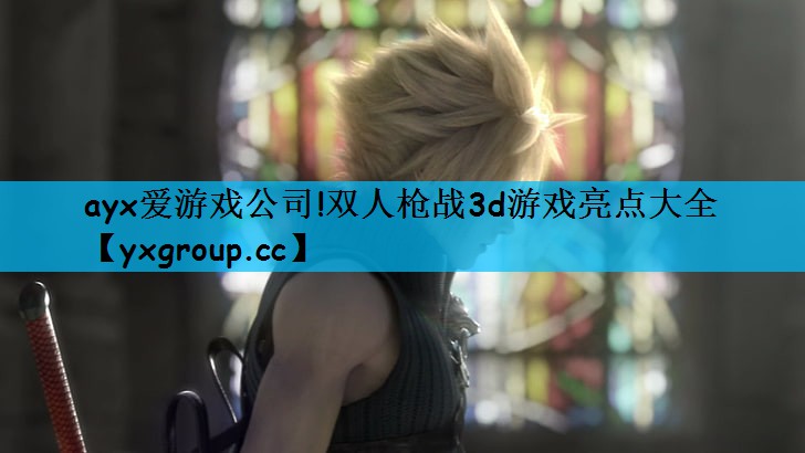 双人枪战3d游戏亮点大全