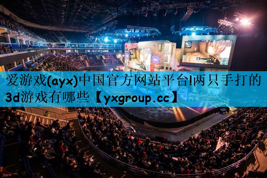 两只手打的3d游戏有哪些