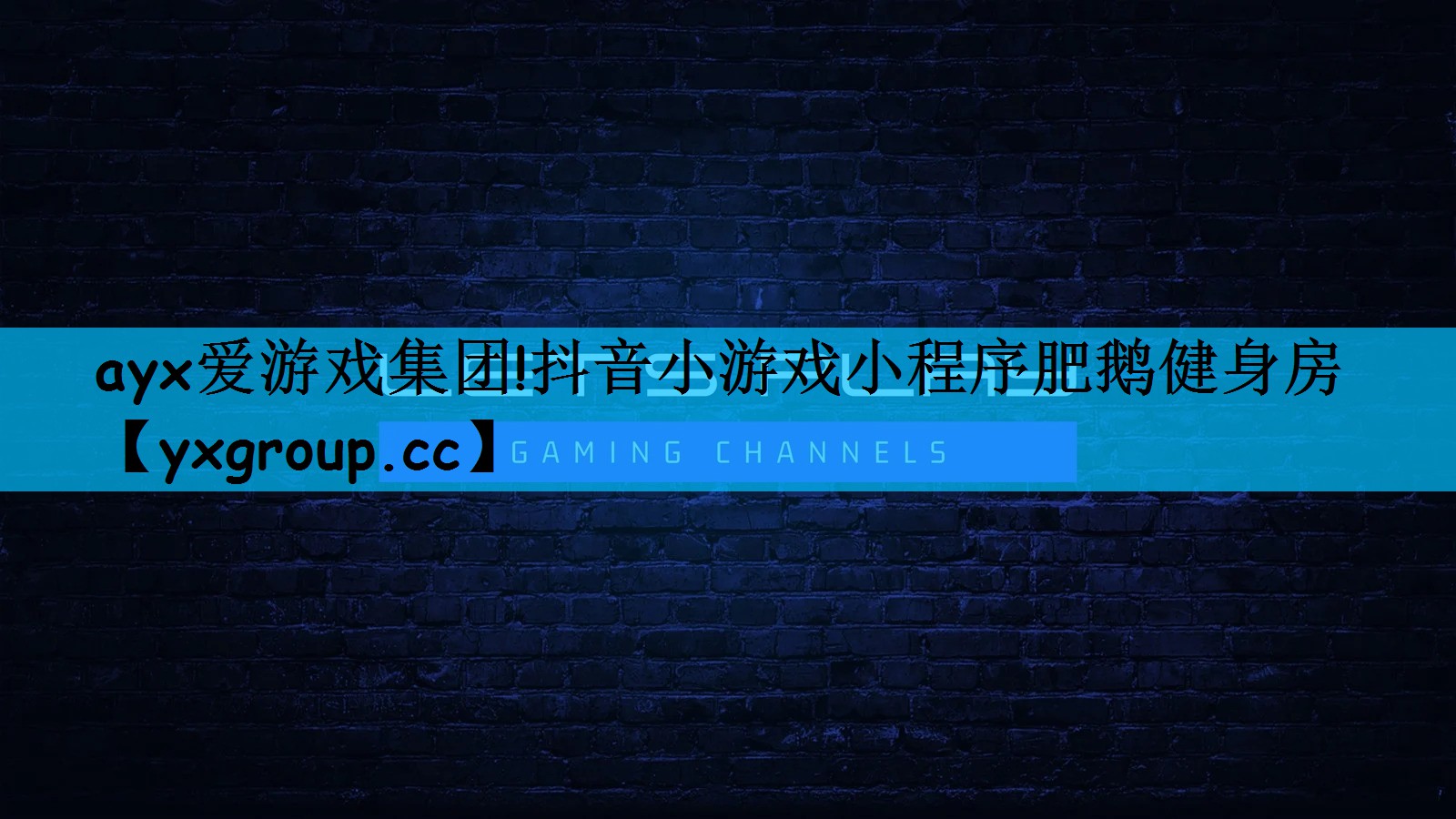 抖音小游戏小程序肥鹅健身房